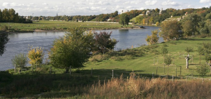 Blick über die Elbe von Loschwitz aus stromab Richtung Innenstadt, Rechts der Dresdner Elbhang mit den Elbschlössern und Dinglingers Weinberg, in der Bildmitte die Elbwiese in Dresden-Blasewitz
